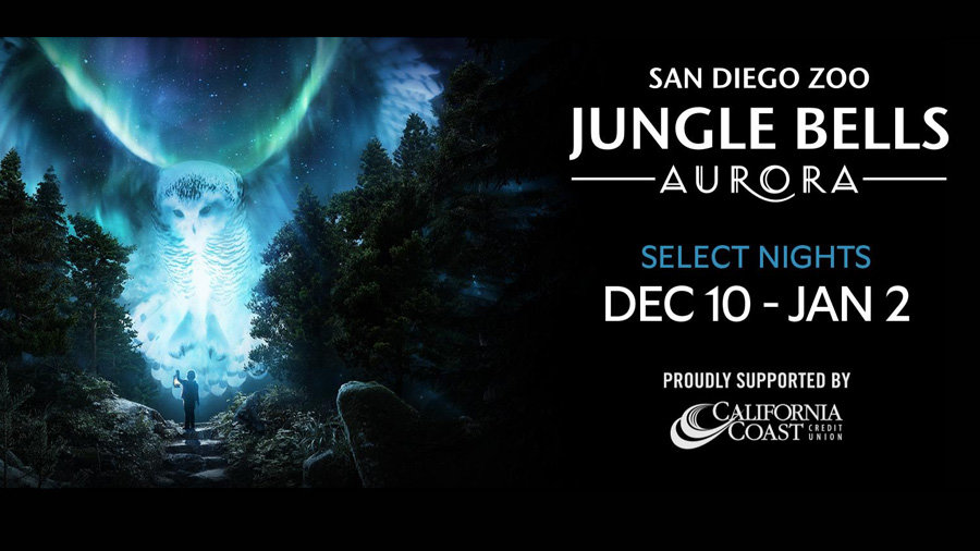 Win 4 Tickets To Jungle Bells at the San Diego Zoo! | Channel 933 - Vimarsana News