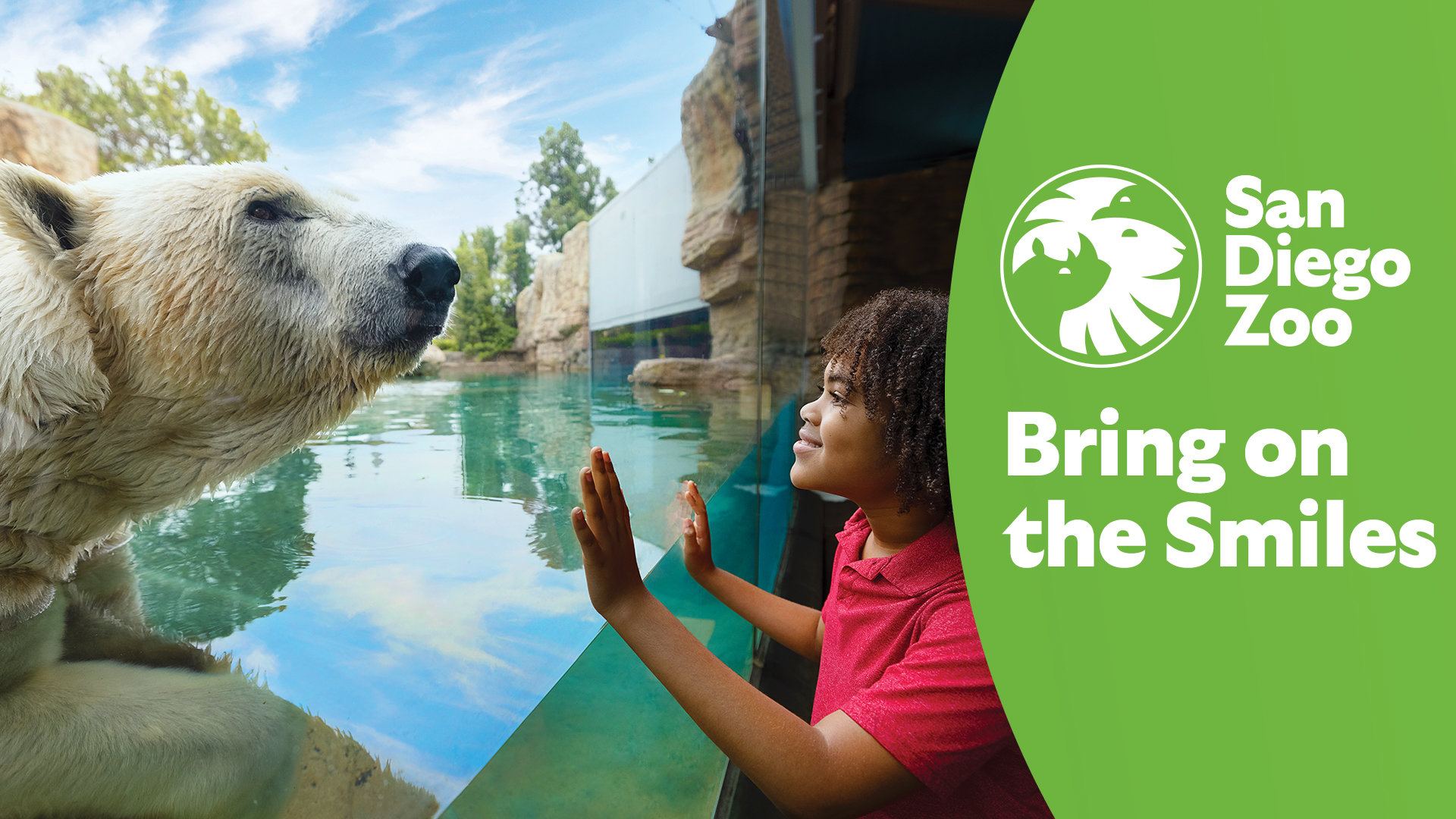 Win Tickets To The San Diego Zoo! | Channel 933 - Vimarsana News