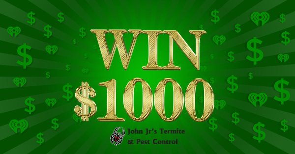 Listen to Win $1,000 With Easy Money! - Vimarsana News