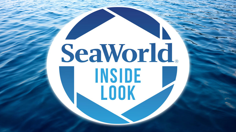 Win Tickets To SeaWorld San Diego! | STAR 94.1 - Vimarsana News
