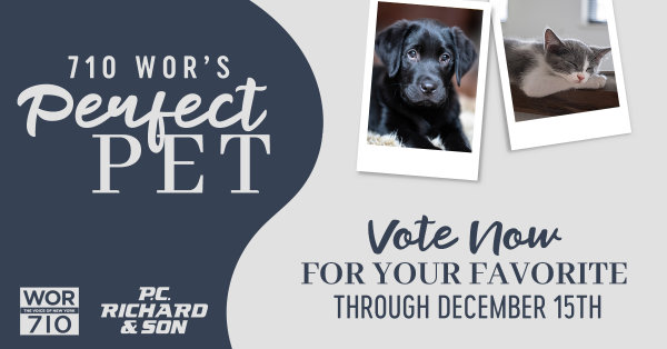 VOTE NOW for WOR's Perfect Pet | 710 WOR - Vimarsana News