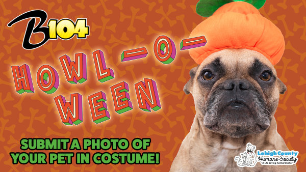 HOWL-O-WEEN Pet Photo Contest! | B104 - Vimarsana News