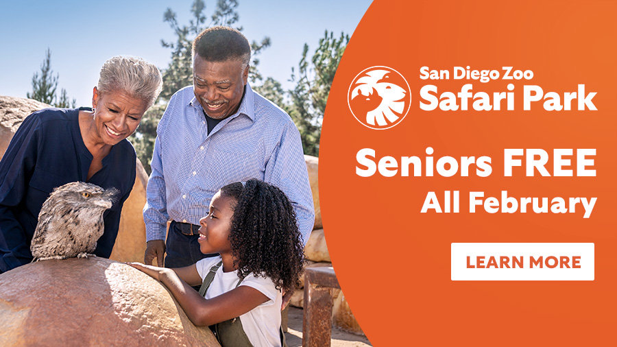 Win Tickets To The San Diego Zoo! | STAR 94.1 - Vimarsana News