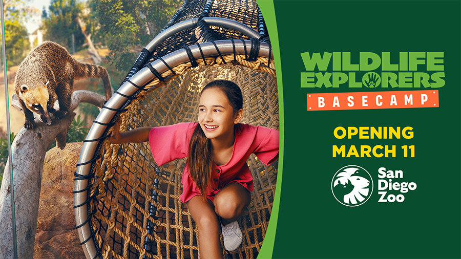 Win 4 Tickets To Experience Wildlife Explorers Basecamp at the San Diego Zoo. | Channel 933 - Vimarsana News