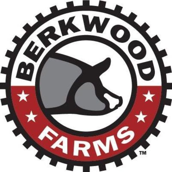 Play Berkwood Bullseye with KXnO!