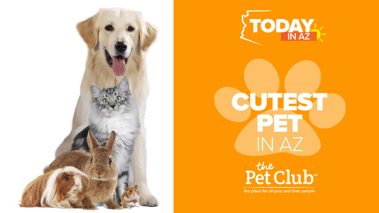 Love your pet? Send us a picture of your pet for a chance to win 1000