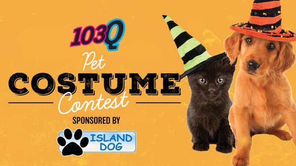 103Q Pet Costume Contest | 103Q - Vimarsana News