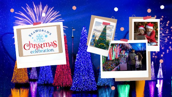 SeaWorld's Christmas Celebration | XL1067 - Vimarsana News