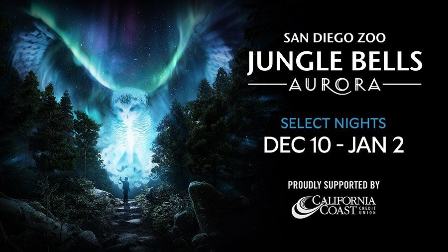 Win Tickets to Jungle Bells at the San Diego Zoo! | Jamn 957 - Vimarsana News