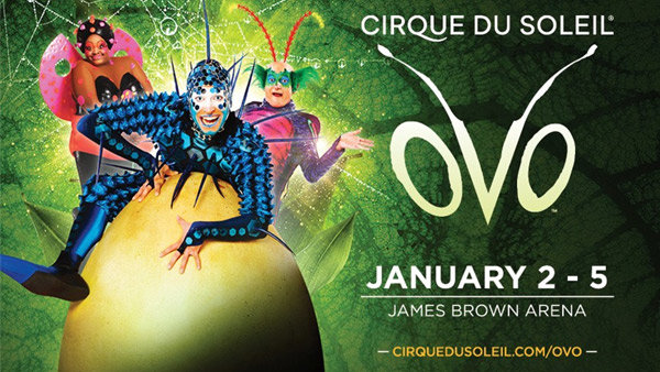 Cirque du Soleil Presents: OVO!